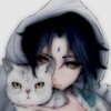 Логотип телеграм канала @shimo_cards — Карточки Шимы🐱