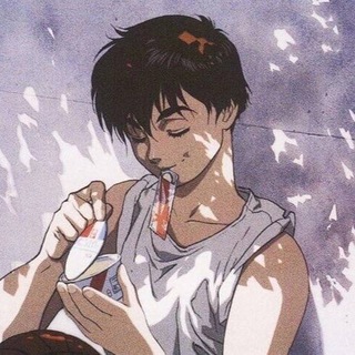 Логотип телеграм канала @shina_channel — Shina
