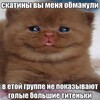 Логотип телеграм канала @shinchills — Shinchills