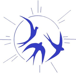 Логотип телеграм канала @shingarkin — СВОБОДНОЕ ДЫХАНИЕ -- ☢ЯДрёна WatchЬ‼️