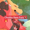 Logo of telegram channel shingonsfw — 🔞🐾Chubby Bara Furs🔞🐾