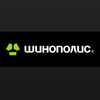 Логотип телеграм канала @shinopolis116 — ШИНОПОЛИС