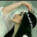 لوگوی کانال تلگرام shirachanel — 💚💚کانال شیراز💚💚