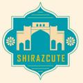 Logo saluran telegram shirazcute63 — Shirazcute شیرازکیوت