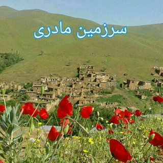 لوگوی کانال تلگرام shirazeli1352 — سرزمین مادری(شیرزلی)