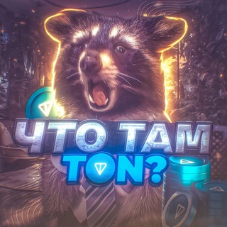 Логотип телеграм канала @shiro_tonn — Что там TON?🚀