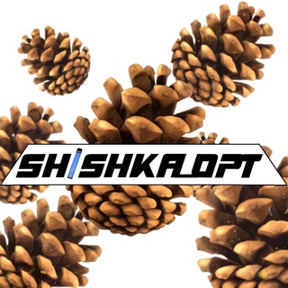Логотип телеграм канала @shishka_opt123 — SHISHKA_OPT