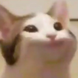 Telegram channel shitpost status logo