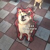 Логотип телеграм канала @shjswjs — буᴧᴋи буᴧᴋᴏʙны