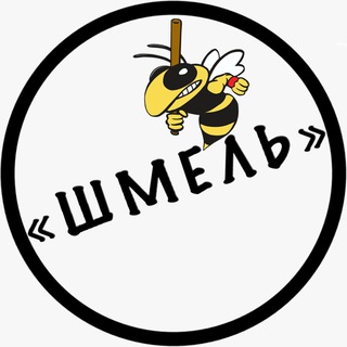 Логотип телеграм канала @shmel_chik — Редакция ШМЕЛЬ