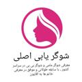 电报频道的标志 shogeryabi_1401 — شوگر یابی اصلی