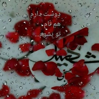 لوگوی کانال تلگرام shohadayeasemani1400 — ⚜ شهـــدای آســـمانی ⚜