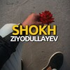 Telegram channel SHOKH logo