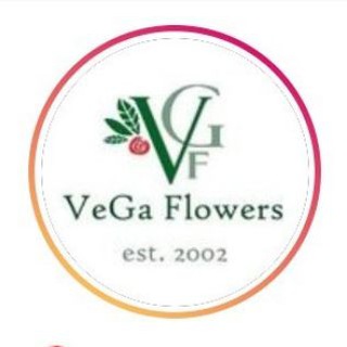 Логотип телеграм канала @shop_vegaflowers — VeGa Flowers