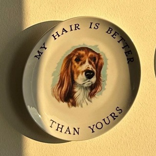 Логотип телеграм канала @shopisfyer — shopisfyer