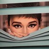 Логотип телеграм канала @shoppingnavigation — Shopping навигатор