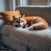 Логотип телеграм канала @shoppingwithfox — Лиса на диване \ Байер Китай \ Андрей