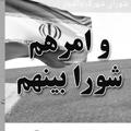 Logo saluran telegram shorayshahrak23 — شورا و شهرداری شهرک والفجر