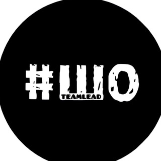 Логотип телеграм канала @shoteam_teamlead — Арбитраж глазами тимлида