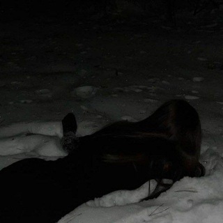 Telegram channel shot#еб3т бич4й logo