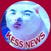 Логотип телеграм канала @showbizkess — FAKEKESS