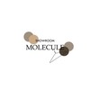 Логотип телеграм канала @showroom_molecule — showroom_MOLECULE