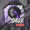 Telegram channel — 𝚂𝙷𝙾𝚇 𝚂𝚃𝚄𝙳𝙸𝙰 🎶 logo