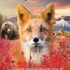 Логотип телеграм канала @shpilenokfilm — Огненный лис ШПИЛЕНОК ФИЛЬМ