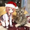 Логотип телеграм канала @shqqk — shhq) 🐳