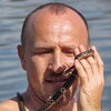 Логотип телеграм канала @shraifell — Александр Шрайфель