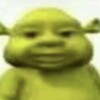 Logo of telegram channel shrekcryptos — Shrek Crypto