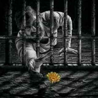 Logo of telegram channel shthay_feeling — شظايا مشاعر