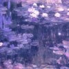 Логотип телеграм канала @shtotooq — ᧘ᥙчн᧐ᥱ ᥰρ᧐ᥴᴛρᥲнᥴᴛʙ᧐