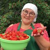 Логотип телеграм канала @shtuchki38 — Огородные штучки Оксаны Артеменко