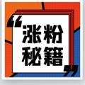 Telegram channel TikTok脸书ins推特youtebe 涨粉 引流 logo