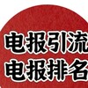 电报频道的标志 shuanfenyl06 — 引流#全局排名#关键排名#强拉#群发