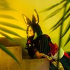 Логотип телеграм канала @shugacos — ✨🐰Ваш маленький Сахарочек✨小好糖🐰✨