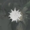 Telegram channel shuji✶ logo