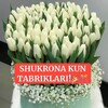 Telegram kanalining logotibi shukronakun — Tugʻilgan kunga tabriklar