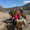 Логотип телеграм канала @shumnyu — Развлечения и отдых