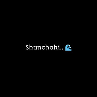 Telegram kanalining logotibi shunchaki_2129 — Shunchaki...🌊