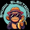 Логотип телеграм канала @shurik_elektronik_spb — 🖥️Shurik_Elektronik_Spb💻