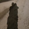 Логотип телеграм канала @shutnik_bro — Мысли Шутника