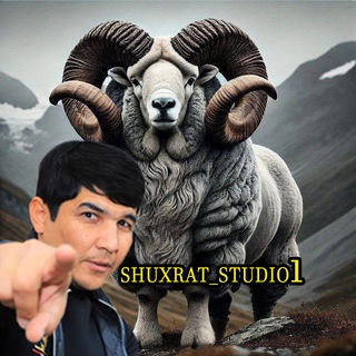 Telegram channel Shuxrat Studio 📽 logo