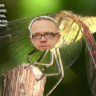 Логотип телеграм канала @shvyrkov_itogi — Швырков. Итоги.