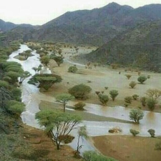 Логотип телеграм канала @shylatt — أبو تركي