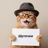 Логотип телеграм канала @shytkadny — Шуточки
