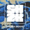 Логотип телеграм канала @shzkshzk — SHZK