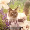 Логотип телеграм канала @siamese_raid — ꒰⑅S͜͡I͜͡A͜͡M͜͡I͜͡A͜͡N͜͡.̠ 彡 !