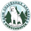 Логотип телеграм канала @sib_alabai — Сибирский алабай